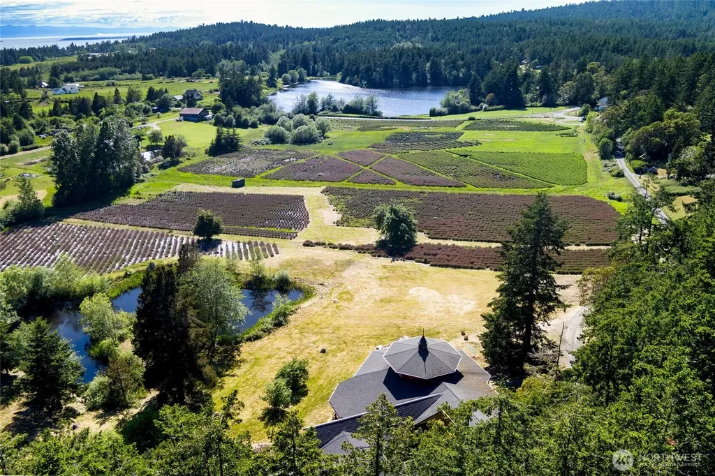 206 Hawthorne Lane Friday Harbor WA 98250