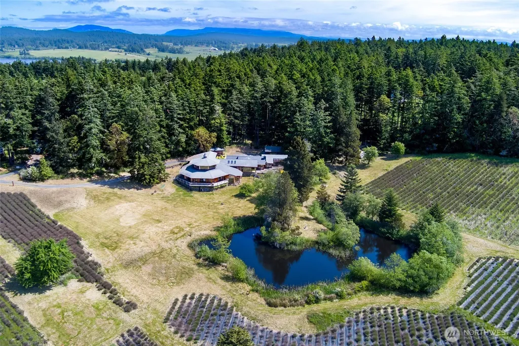 206 Hawthorne Lane Friday Harbor WA 98250