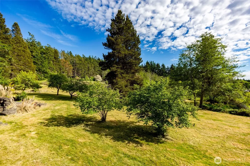 206 Hawthorne Lane Friday Harbor WA 98250