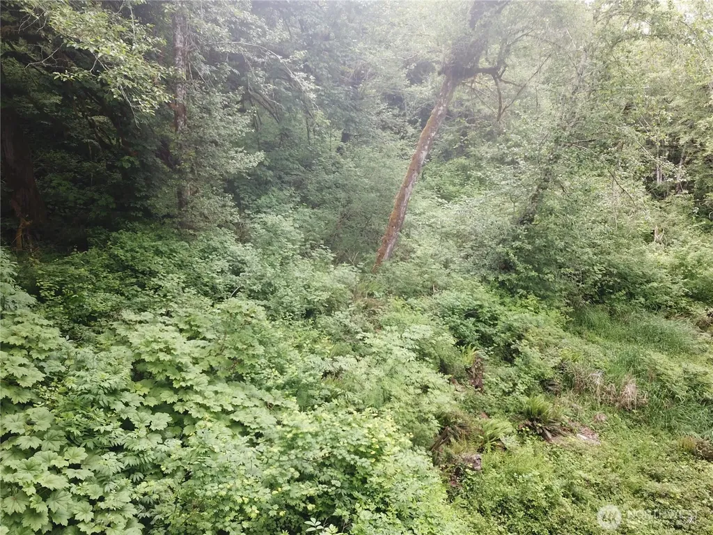 450 W Reller Road Shelton WA 98584