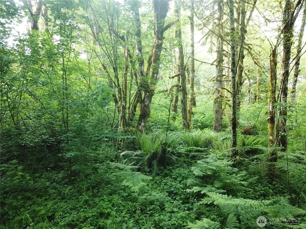 450 W Reller Road Shelton WA 98584
