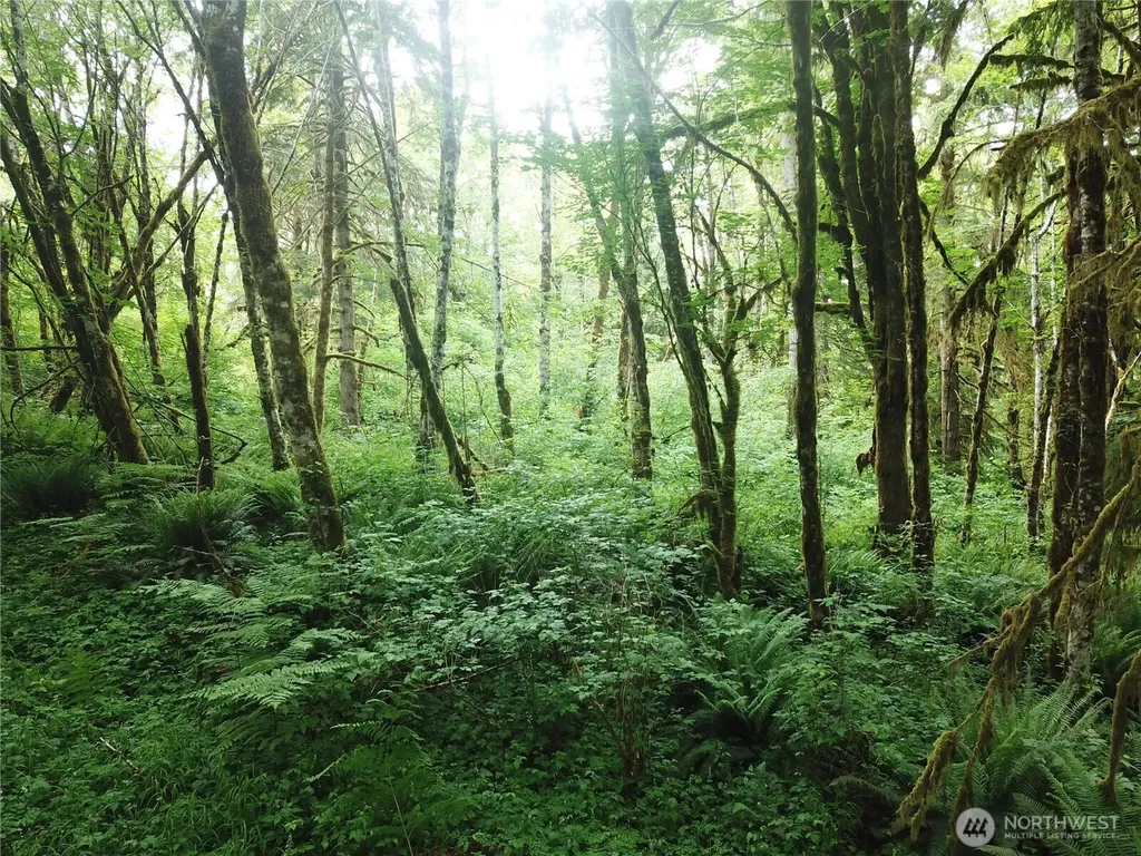 450 W Reller Road Shelton WA 98584
