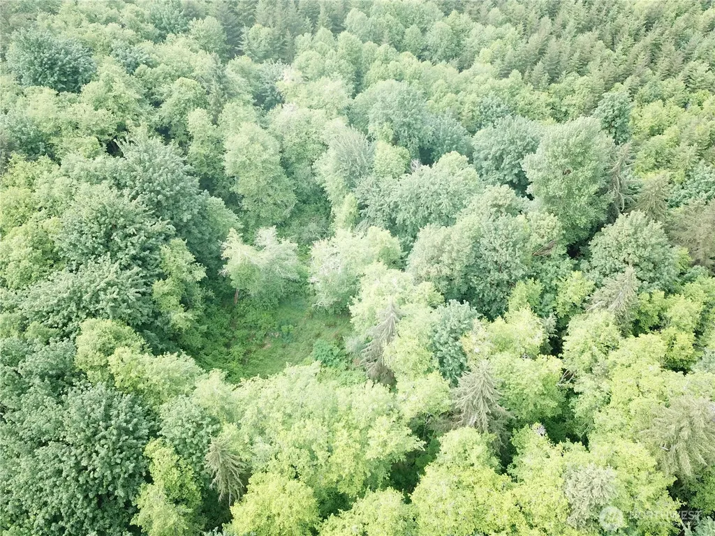 450 W Reller Road Shelton WA 98584