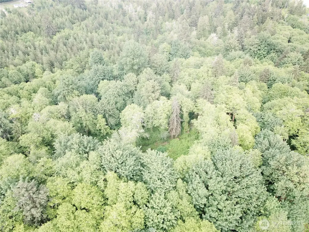 450 W Reller Road Shelton WA 98584