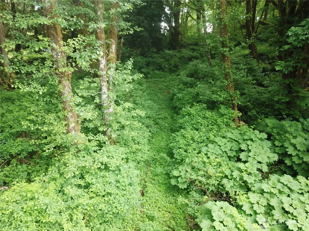 450 W Reller Road Shelton WA 98584