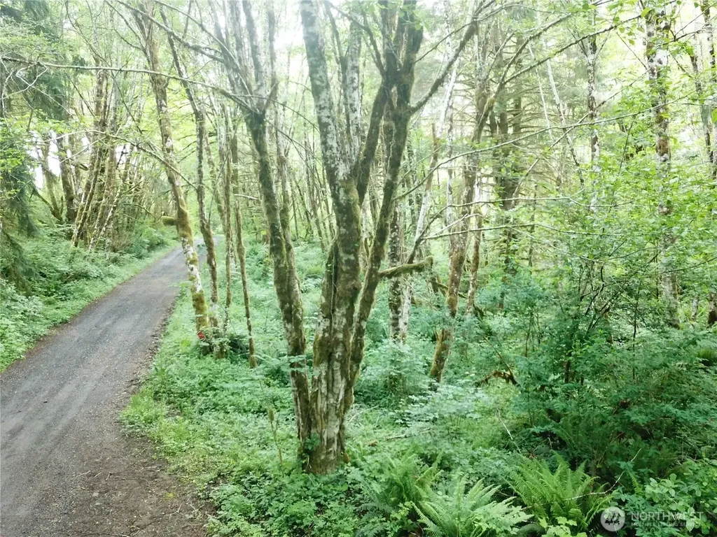 450 W Reller Road Shelton WA 98584