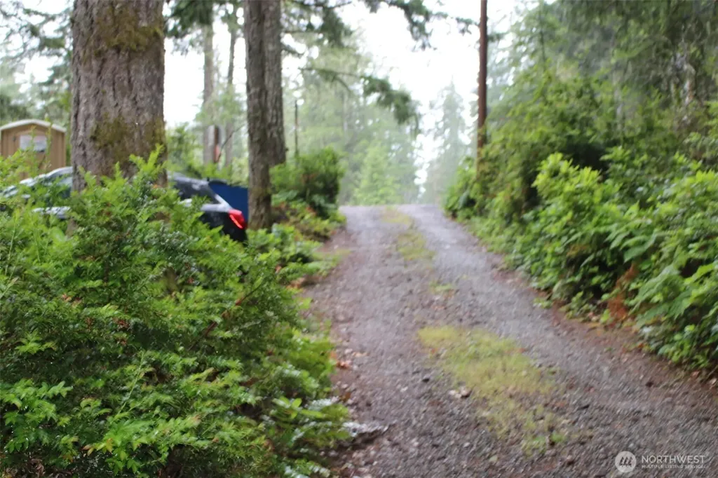 291 Collins Lake Drive Belfair WA 98528