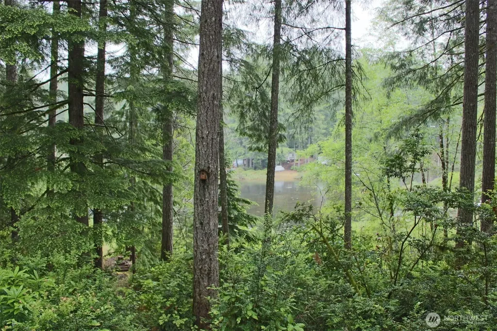 291 Collins Lake Drive Belfair WA 98528