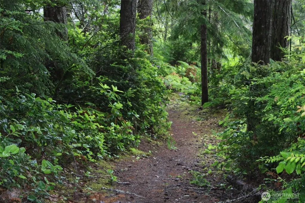 291 Collins Lake Drive Belfair WA 98528