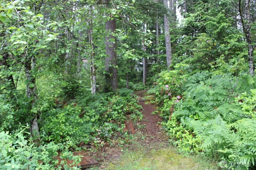 291 Collins Lake Drive Belfair WA 98528