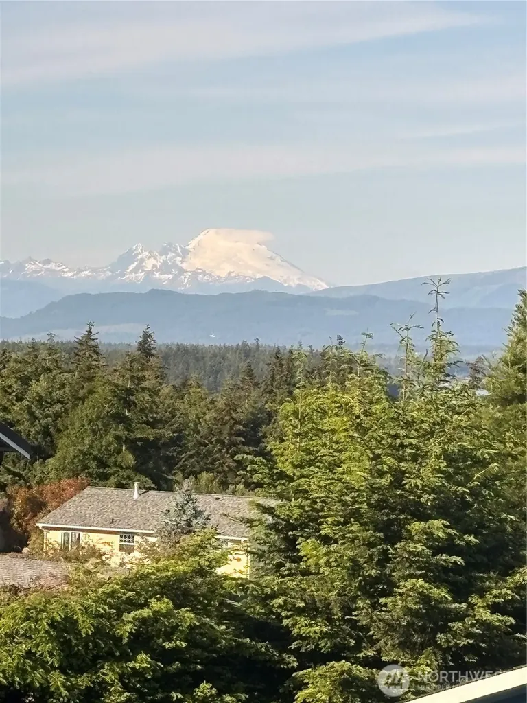 1051 Lightning Way Camano Island WA 98282