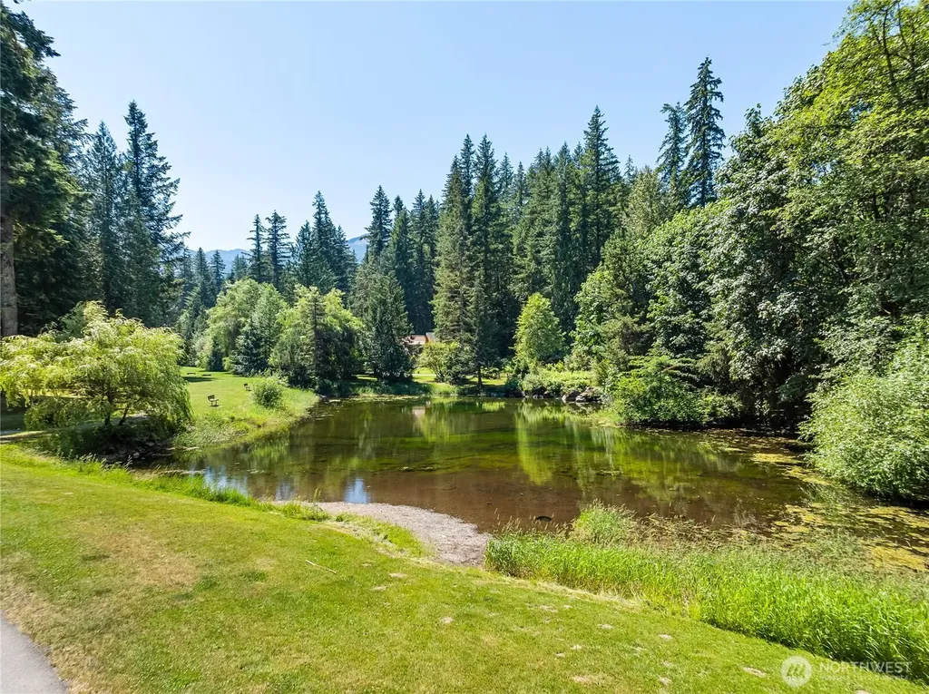 7077 Austin Pass Road Glacier WA 98244