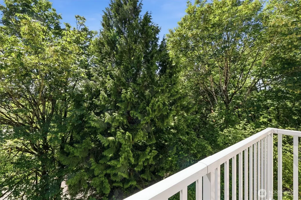 2560 118th Avenue SE Bellevue WA 98005