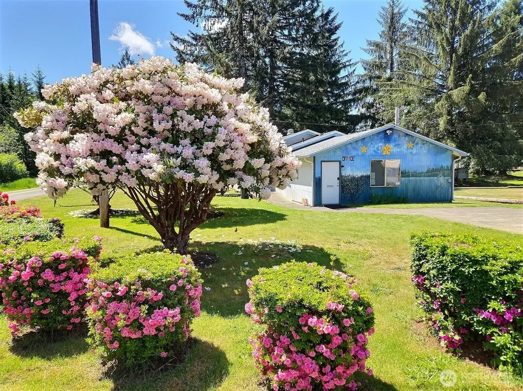 294 W Satsop Drive Elma WA 98541