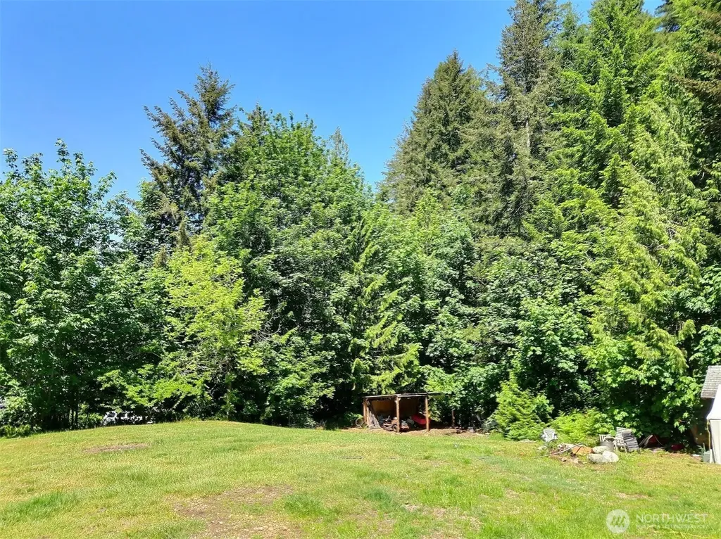 294 W Satsop Drive Elma WA 98541
