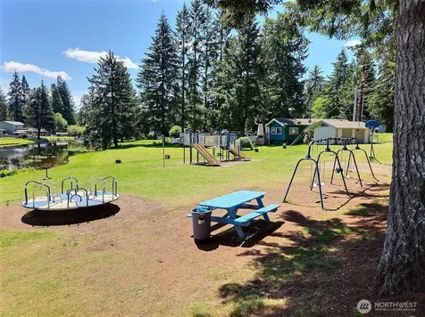 294 W Satsop Drive Elma WA 98541