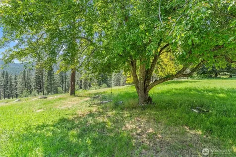 970 Kitt Narcisse Road Colville WA 99114