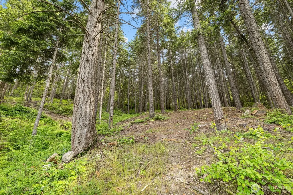 1771 Timber Mountain Loop Cle Elum WA 98922