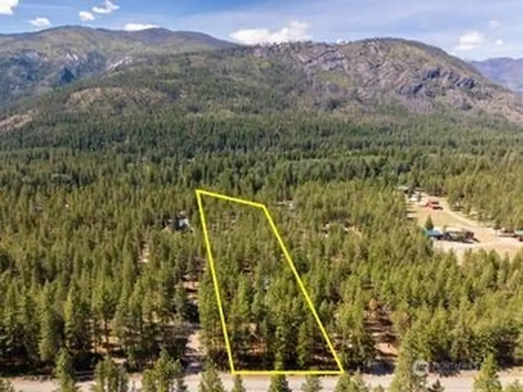 115 Lost River Road Mazama WA 98833