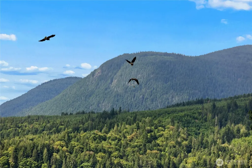 0 K-tract 9 Mcdonald Road Quilcene WA 98376