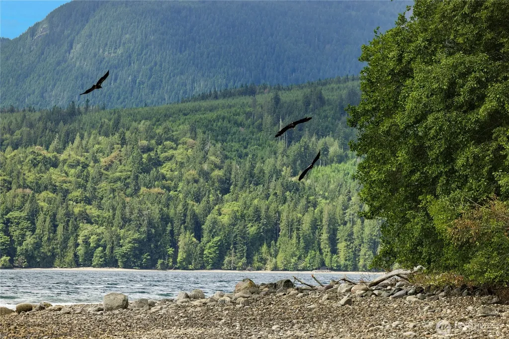 0 K-tract 9 Mcdonald Road Quilcene WA 98376