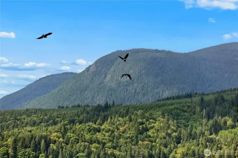 0 K-tract 9 Mcdonald Road Quilcene WA 98376