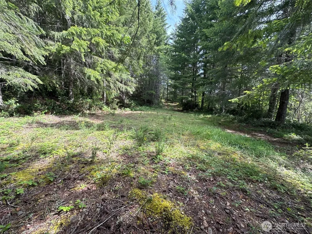 150 N Sunnyside Road Shelton WA 98584
