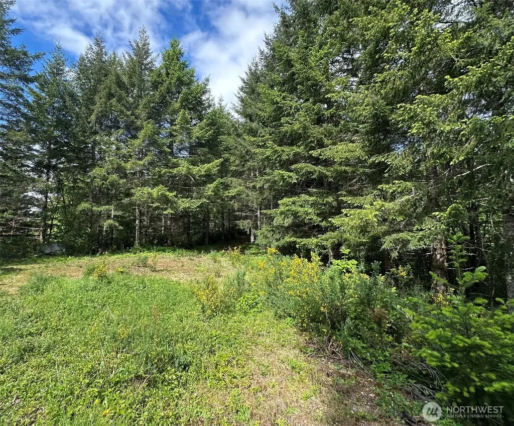 150 N Sunnyside Road Shelton WA 98584