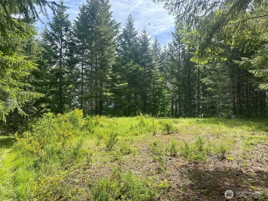 150 N Sunnyside Road Shelton WA 98584