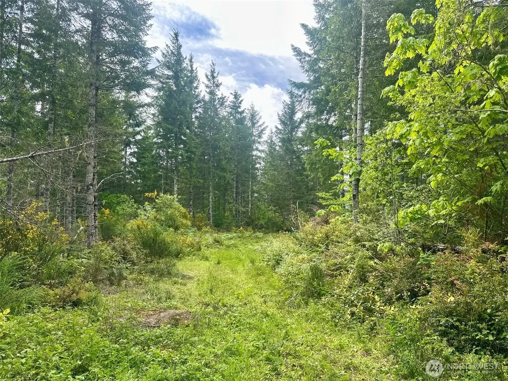150 N Sunnyside Road Shelton WA 98584