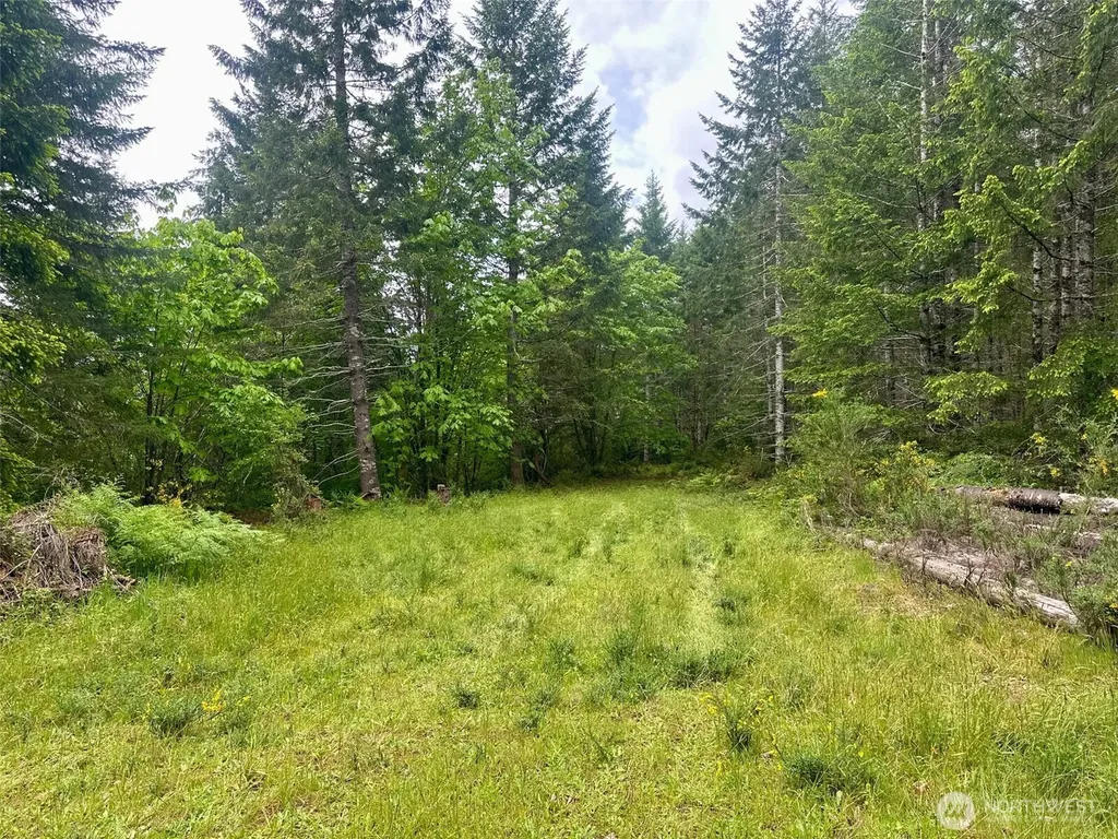 150 N Sunnyside Road Shelton WA 98584