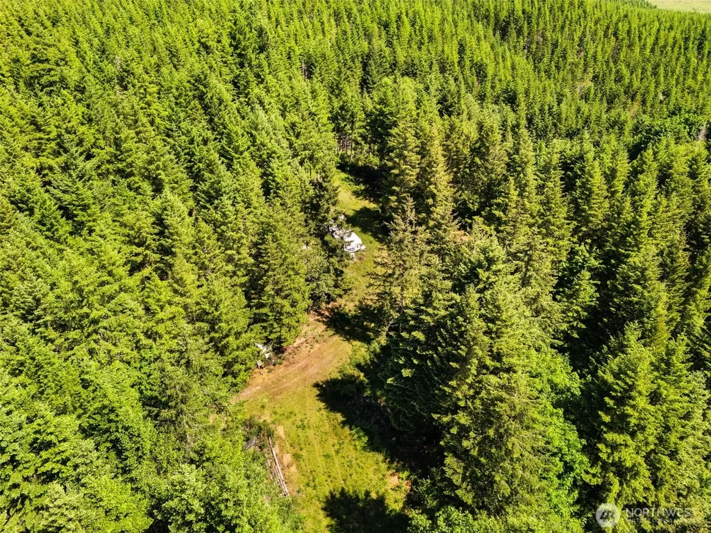150 N Sunnyside Road Shelton WA 98584