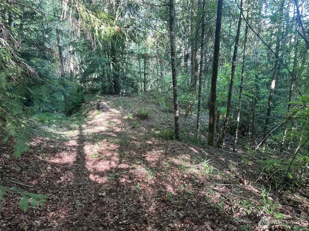 150 N Sunnyside Road Shelton WA 98584