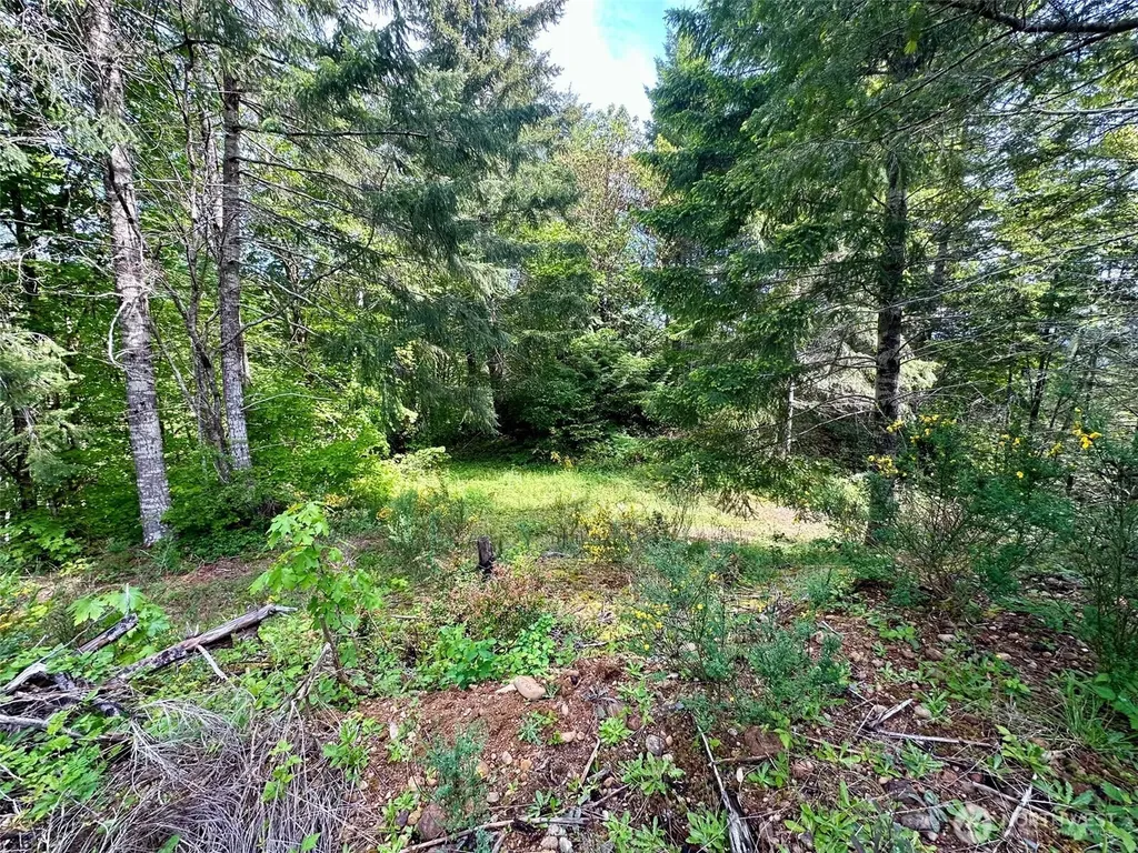 150 N Sunnyside Road Shelton WA 98584