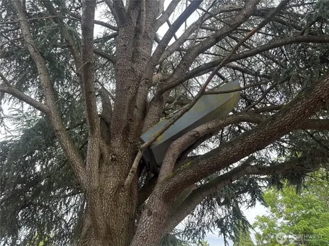 605 118th Street S Tacoma WA 98444