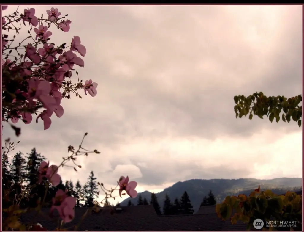 280 NW Newport Way Issaquah WA 98027