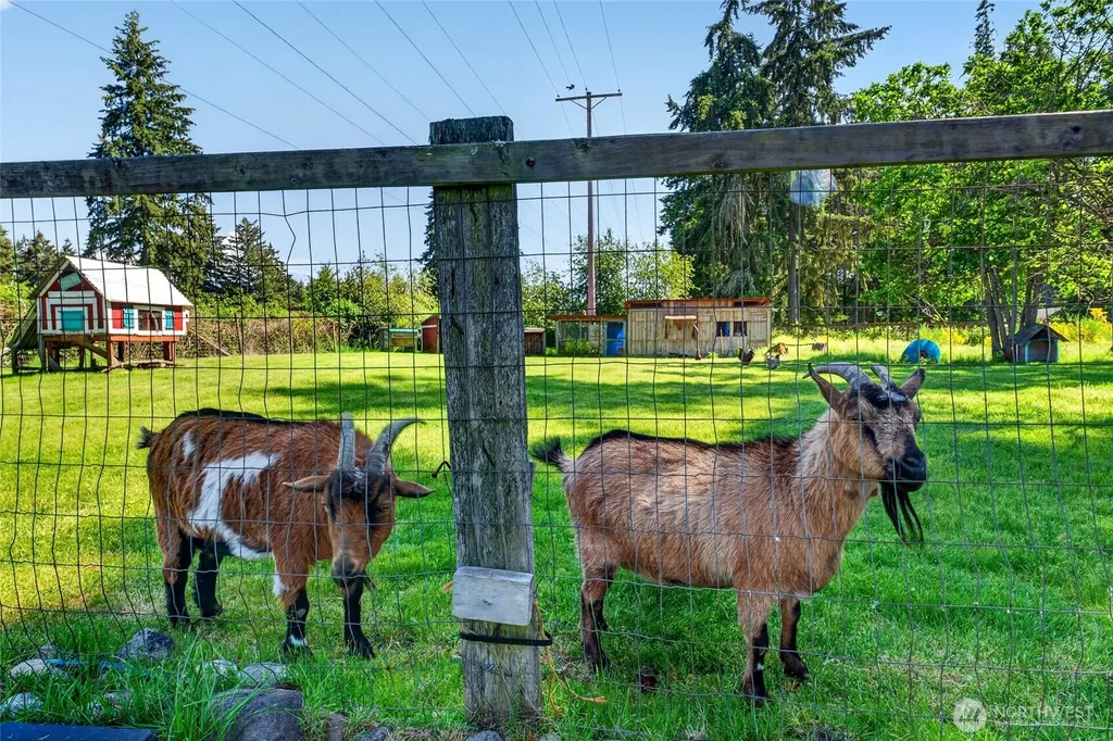 22814 46th Avenue E Spanaway WA 98387
