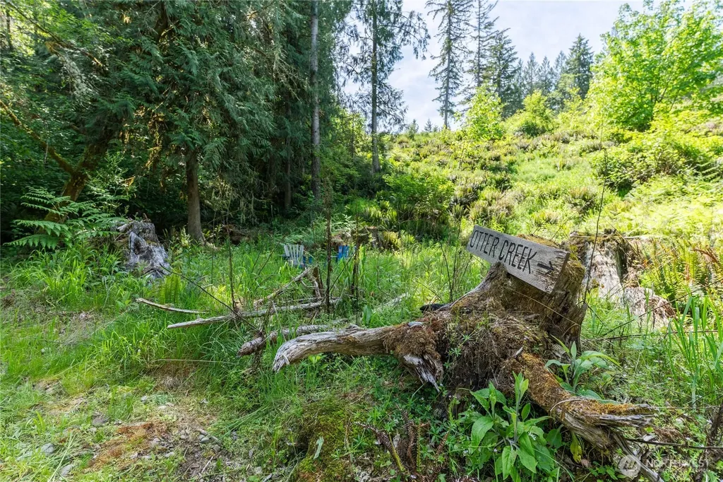 169 Rockridge Lane Toledo WA 98591