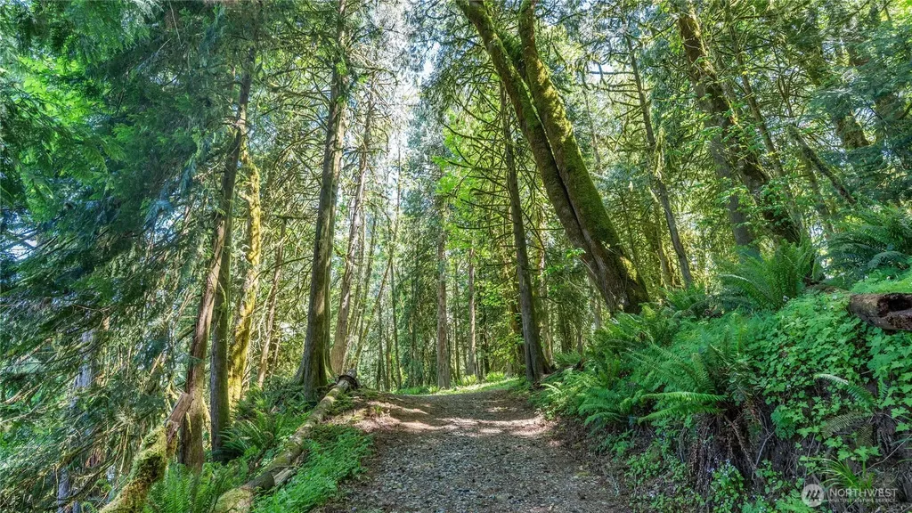 169 Rockridge Lane Toledo WA 98591