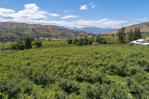 0 Red Apple Road Cashmere WA 98815