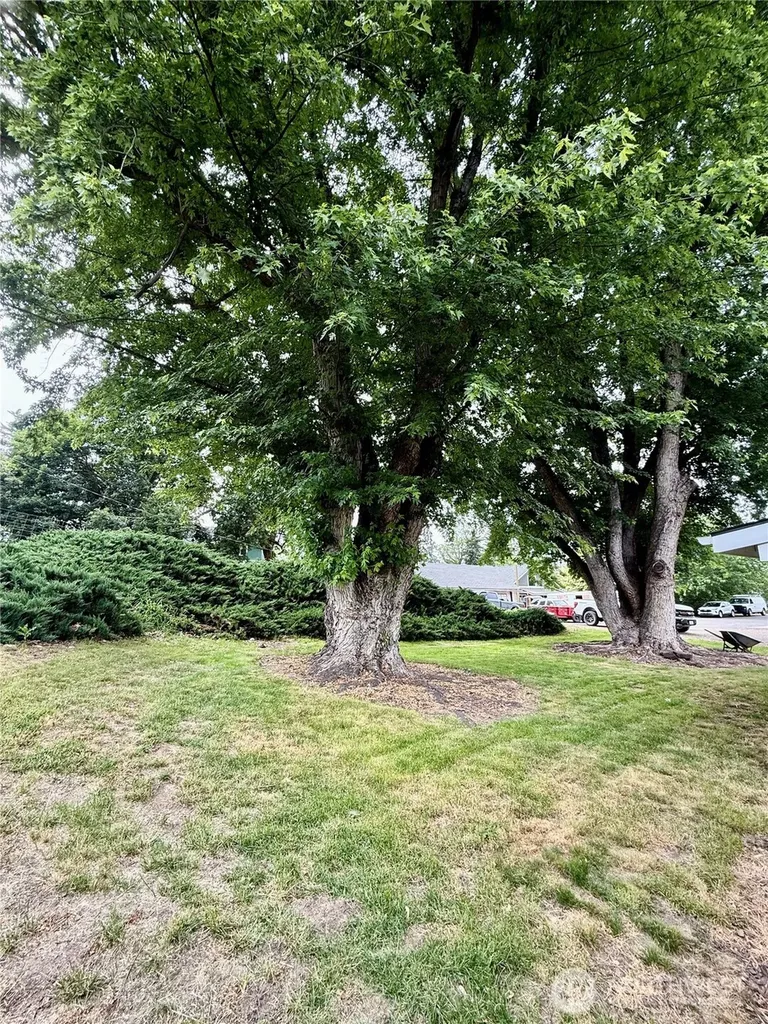 321 Bruce Street Waitsburg WA 99361