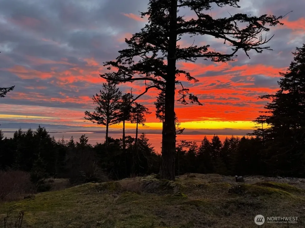 30 Rascal Road Friday Harbor WA 98250