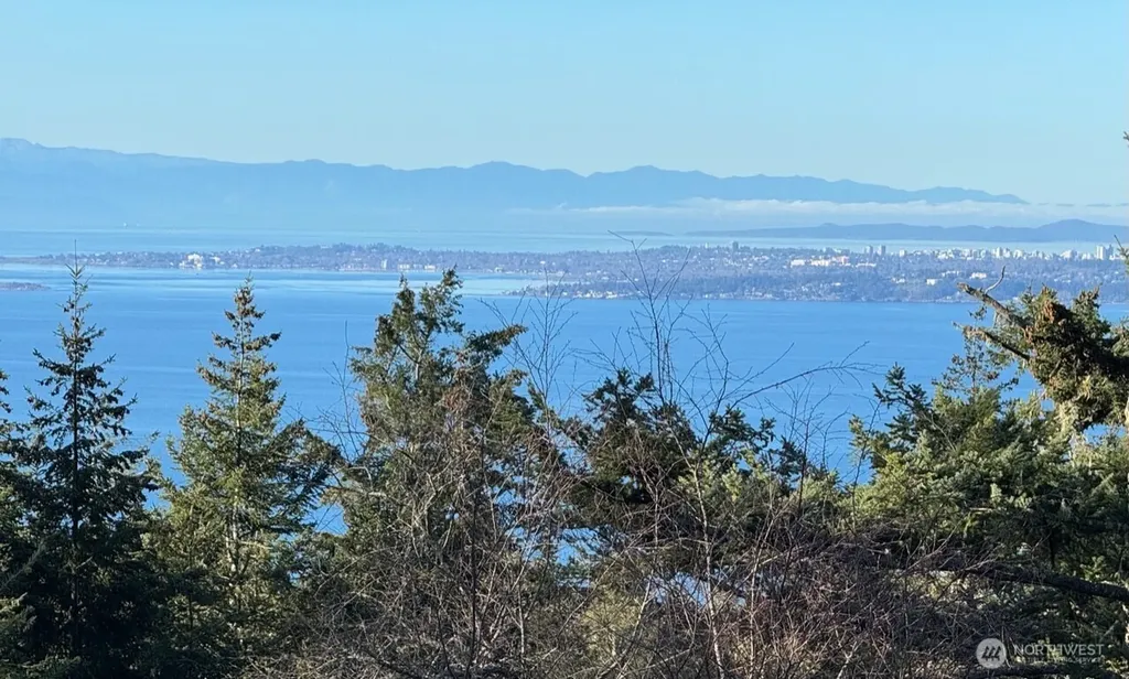 30 Rascal Road Friday Harbor WA 98250