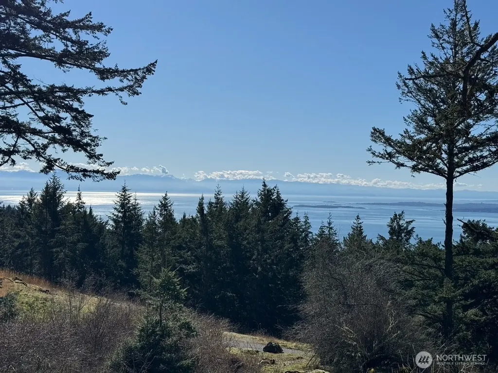 30 Rascal Road Friday Harbor WA 98250