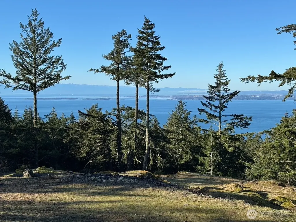 30 Rascal Road Friday Harbor WA 98250