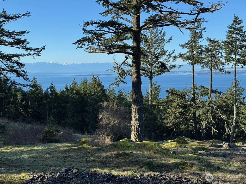 30 Rascal Road Friday Harbor WA 98250