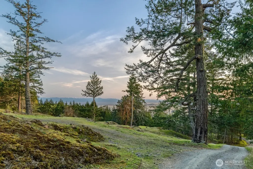 30 Rascal Road Friday Harbor WA 98250