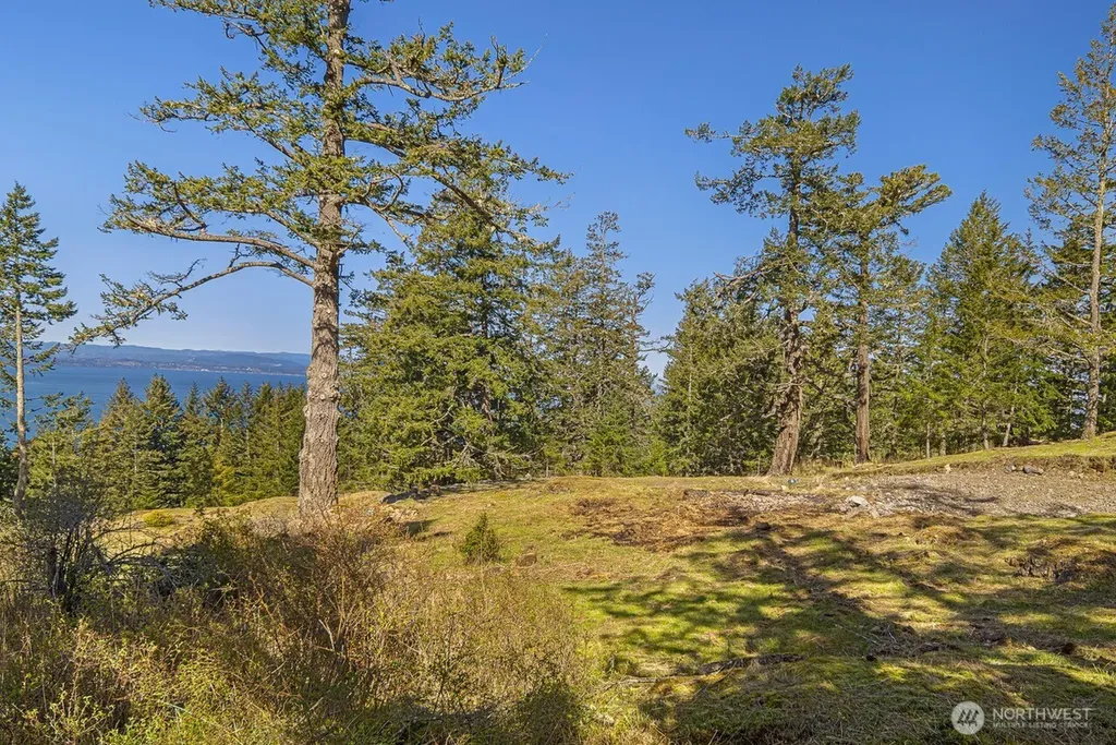 30 Rascal Road Friday Harbor WA 98250