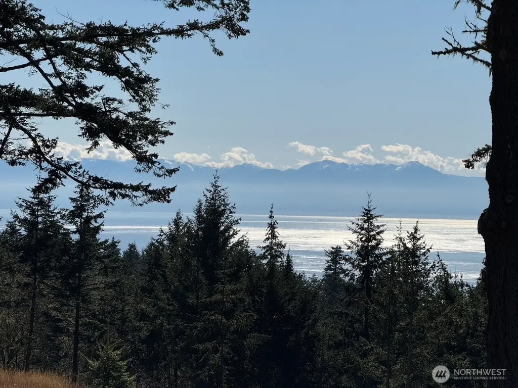 30 Rascal Road Friday Harbor WA 98250