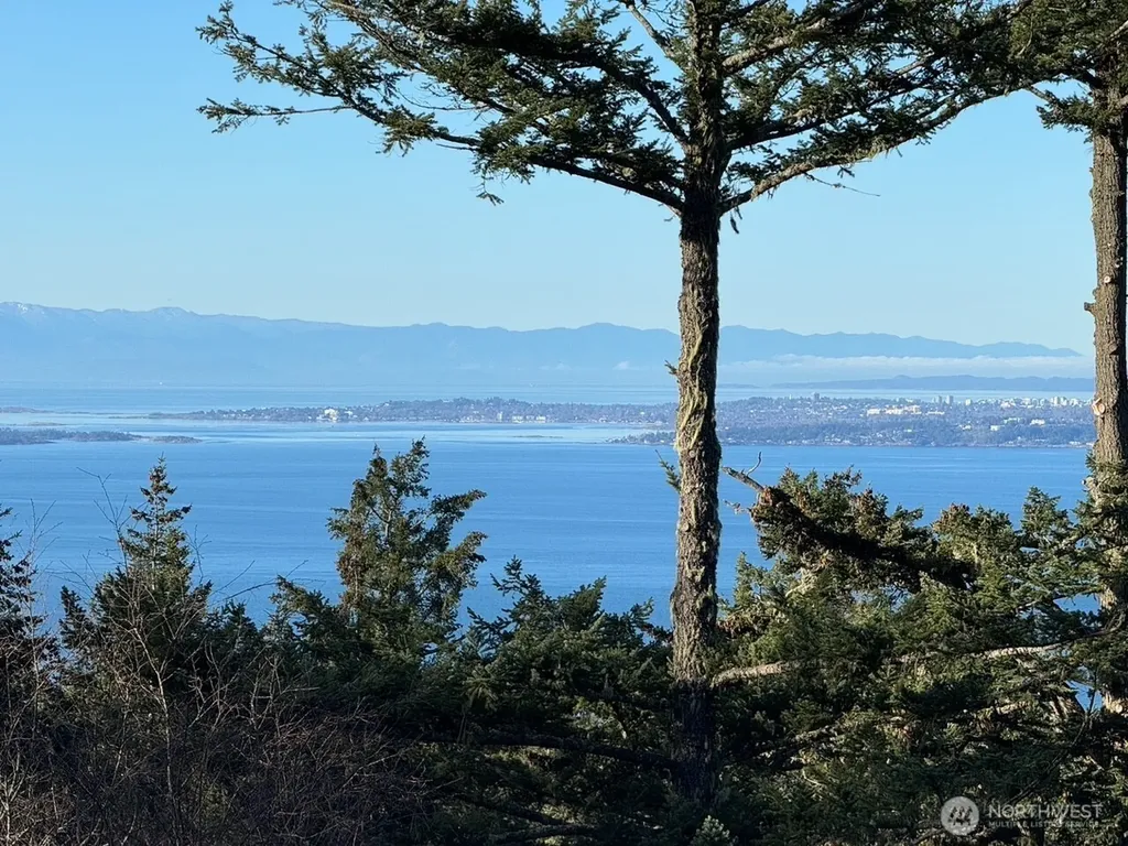 30 Rascal Road Friday Harbor WA 98250